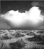 Bill Philip art print