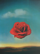 Salvador Dali art print