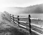 Monte Nagler art print