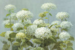 Danhui Nai art print