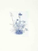 Albrecht Durer art print