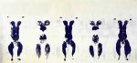 Yves Klein art print