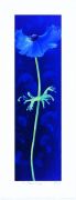 Nel Whatmore art print