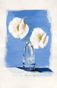 Annelies Burgin art print