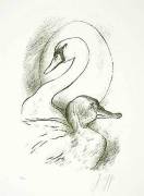 Guenter Grass art print