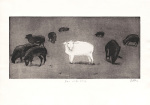 Bernd Baldus art print