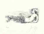 Guenter Grass art print