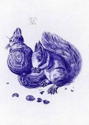 Albrecht Durer art print