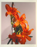 Gerhard Treichel art print