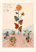 Salvador Dali art print