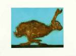 Sonia Rollo art print