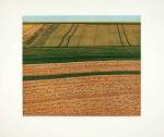 Michael Rausch art print