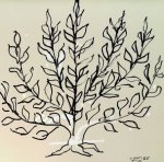 Henri Matisse art print