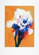 Hans Richter art print