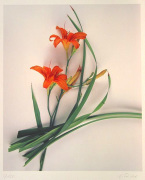 Gerhard Treichel art print