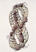 M.C. Escher art print