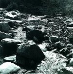 Ansel Adams art print