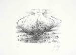 Guenter Grass art print