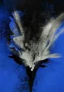 Otto Piene art print