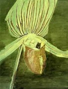 Luc Tuymans art print