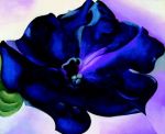 Georgia O'Keeffe art print