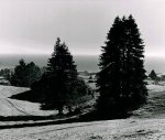Ansel Adams art print
