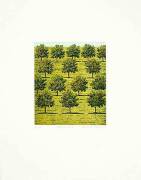 Michael Rausch art print