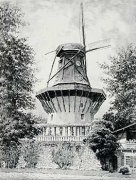 Bruck art print