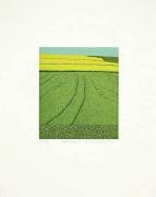 Michael Rausch art print