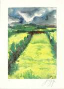 Guenter Grass art print