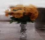 Gerhard Richter art print