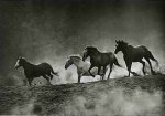 Tony Stromberg art print