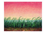 Folkert Rasch art print