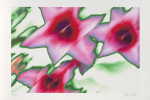 Norbert Schaefer art print