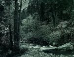 Tenaya Creek art print