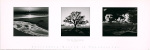 Ansel Adams art print