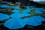 Christo art print