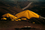 Christo art print