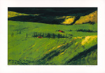 Hans-J�rg Holubitschka art print