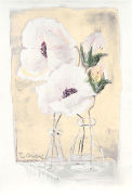 Annelies Burgin art print