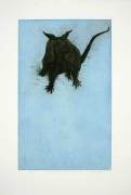 Sonia Rollo art print