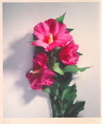 Gerhard Treichel art print