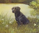 Richard Britton art print