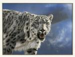 Anthony Gibbs art print