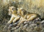 Paul Apps art print