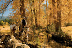 Robert Dawson art print