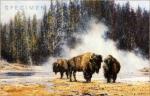 David Shepherd art print