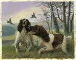 Nigel Hemming art print