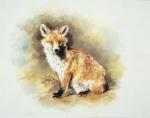 Mandy Shepherd art print
