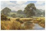 David Dipnall art print